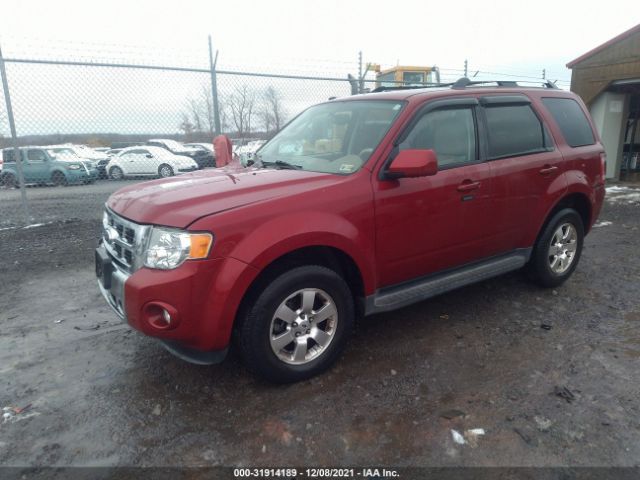 Photo 1 VIN: 1FMCU0EG8BKB57978 - FORD ESCAPE 