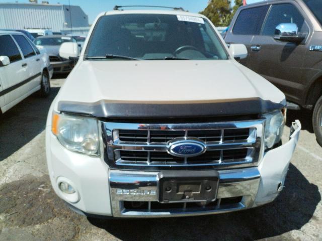 Photo 4 VIN: 1FMCU0EG8BKB59889 - FORD ESCAPE 