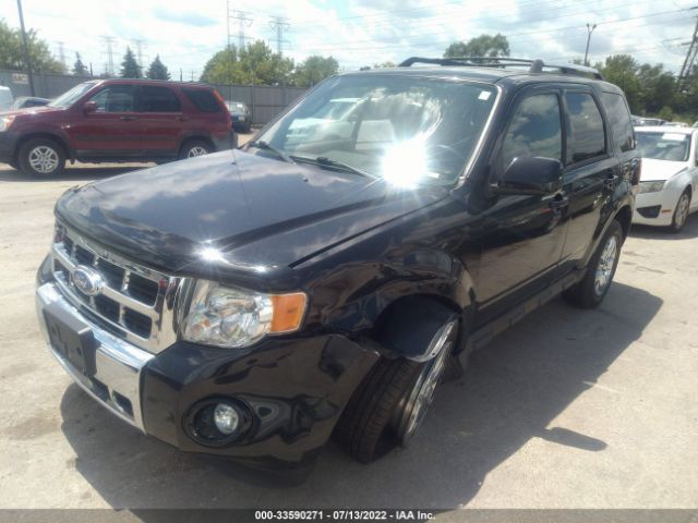 Photo 1 VIN: 1FMCU0EG8BKC16690 - FORD ESCAPE 