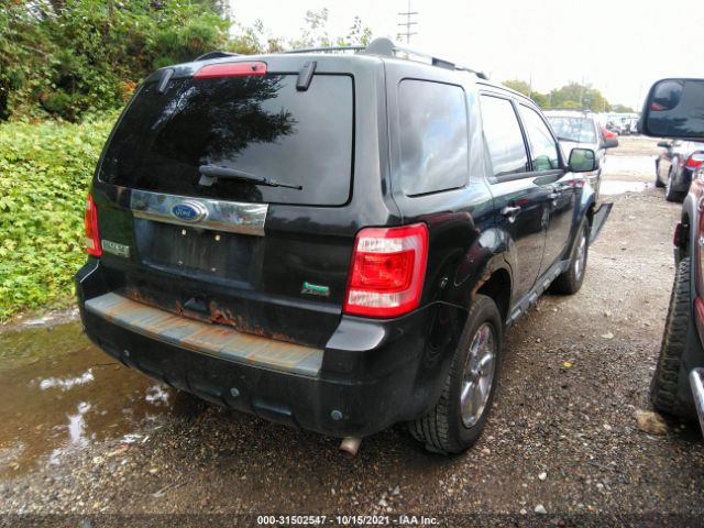 Photo 3 VIN: 1FMCU0EG9BKA26946 - FORD ESCAPE 