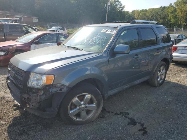 Photo 0 VIN: 1FMCU0EGXAKA54690 - FORD ESCAPE LIM 