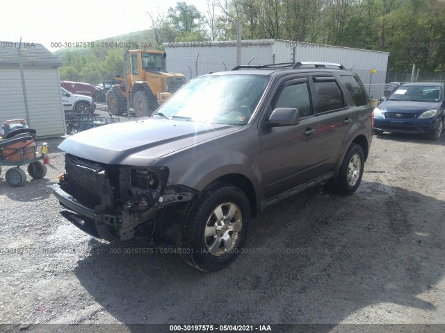 Photo 1 VIN: 1FMCU0EGXBKC42806 - FORD ESCAPE 