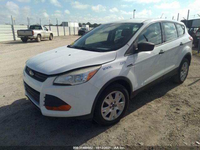 Photo 1 VIN: 1FMCU0F70DUA30244 - FORD ESCAPE 