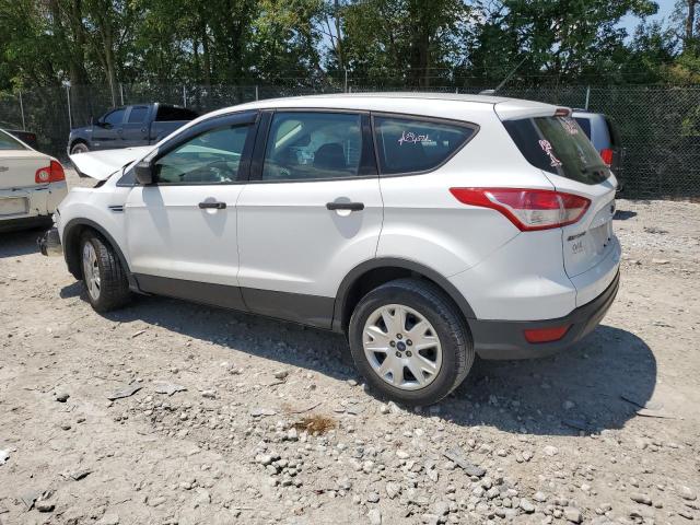 Photo 1 VIN: 1FMCU0F70DUA37517 - FORD ESCAPE 