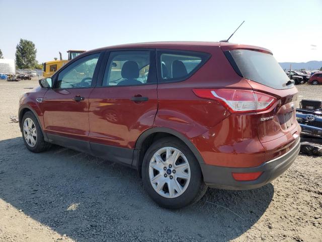 Photo 1 VIN: 1FMCU0F70EUB99701 - FORD ESCAPE 