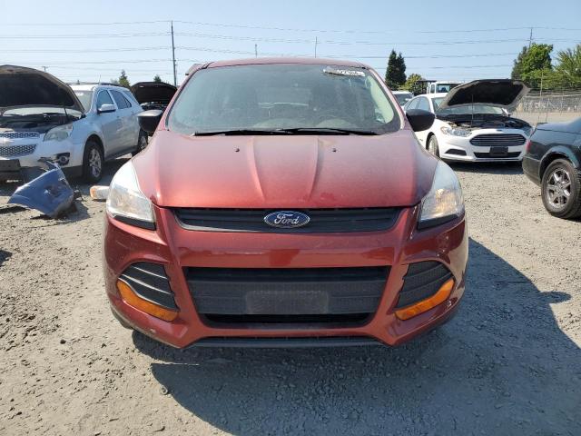 Photo 4 VIN: 1FMCU0F70EUB99701 - FORD ESCAPE 