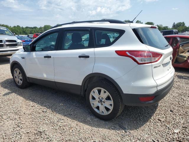 Photo 1 VIN: 1FMCU0F70EUD59091 - FORD ESCAPE S 