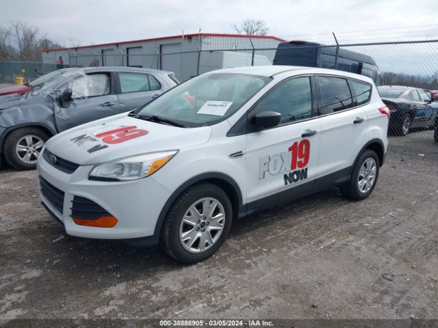 Photo 1 VIN: 1FMCU0F71DUA48140 - FORD ESCAPE 