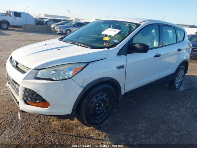 Photo 1 VIN: 1FMCU0F71DUC61248 - FORD ESCAPE 