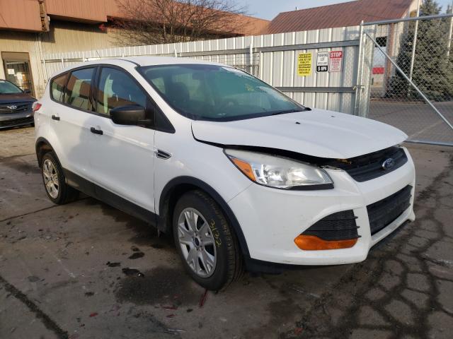 Photo 0 VIN: 1FMCU0F71EUB06863 - FORD ESCAPE S 