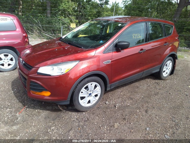 Photo 1 VIN: 1FMCU0F71FUC41584 - FORD ESCAPE 