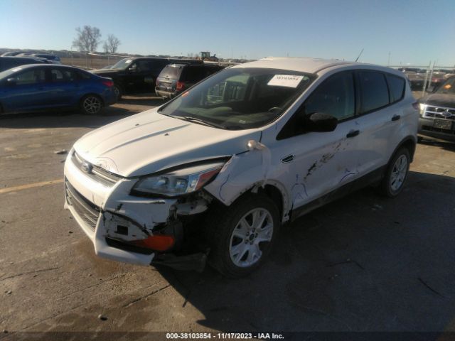 Photo 1 VIN: 1FMCU0F72DUA48177 - FORD ESCAPE 