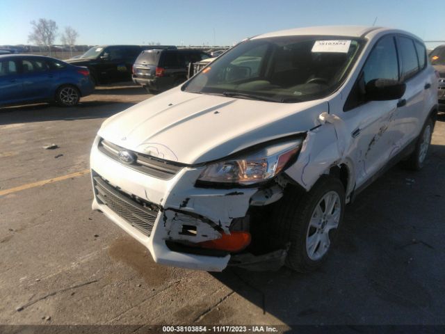 Photo 5 VIN: 1FMCU0F72DUA48177 - FORD ESCAPE 