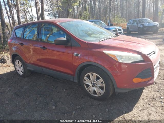 Photo 0 VIN: 1FMCU0F72EUD49176 - FORD ESCAPE 