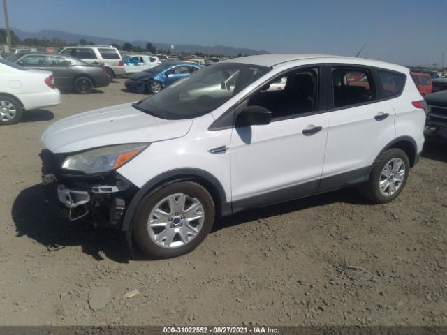 Photo 1 VIN: 1FMCU0F72EUD58668 - FORD ESCAPE 