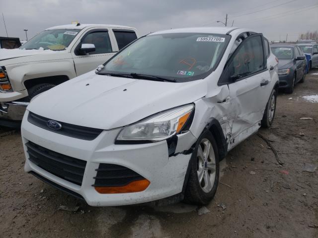 Photo 1 VIN: 1FMCU0F72FUB55958 - FORD ESCAPE S 