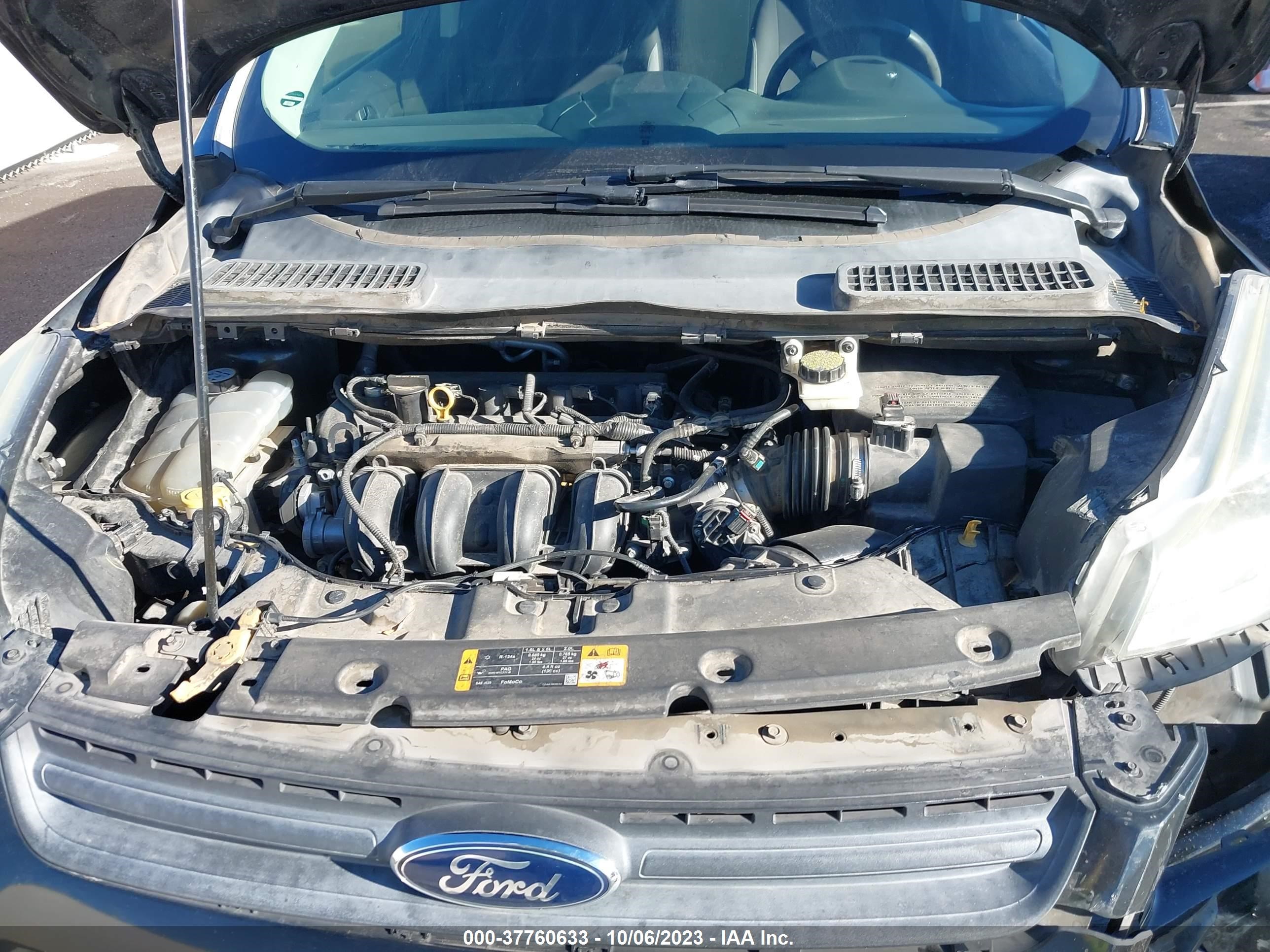 Photo 9 VIN: 1FMCU0F73DUB64505 - FORD ESCAPE 