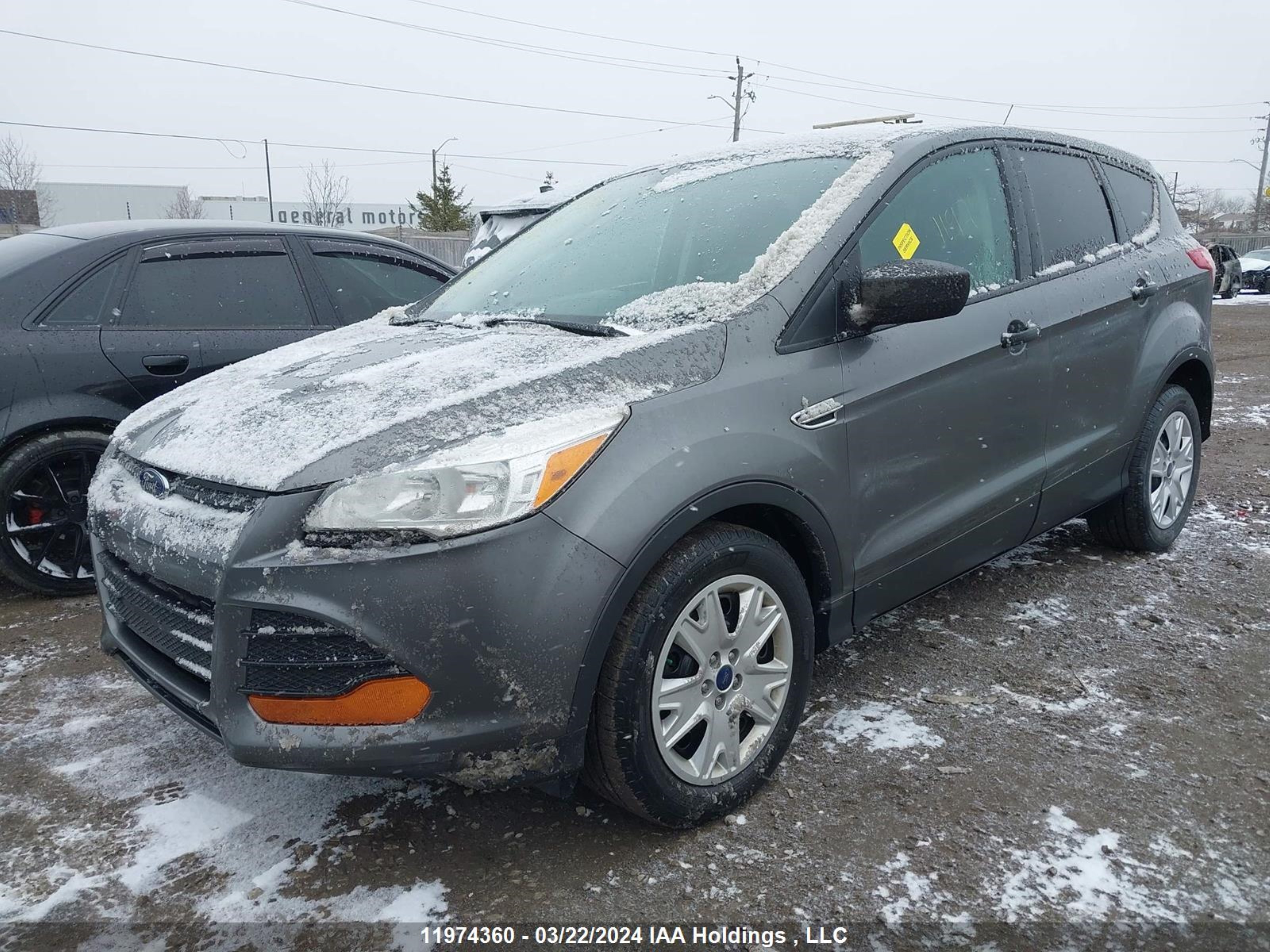 Photo 1 VIN: 1FMCU0F73EUC62256 - FORD ESCAPE 