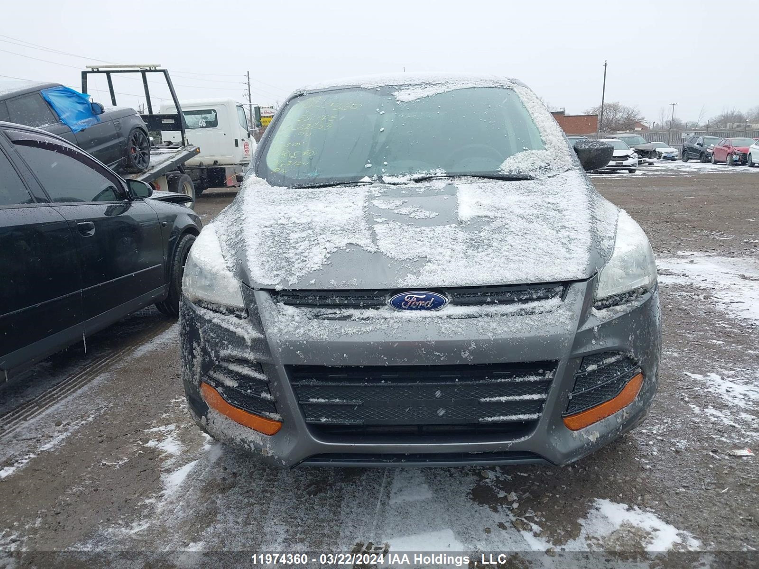 Photo 12 VIN: 1FMCU0F73EUC62256 - FORD ESCAPE 