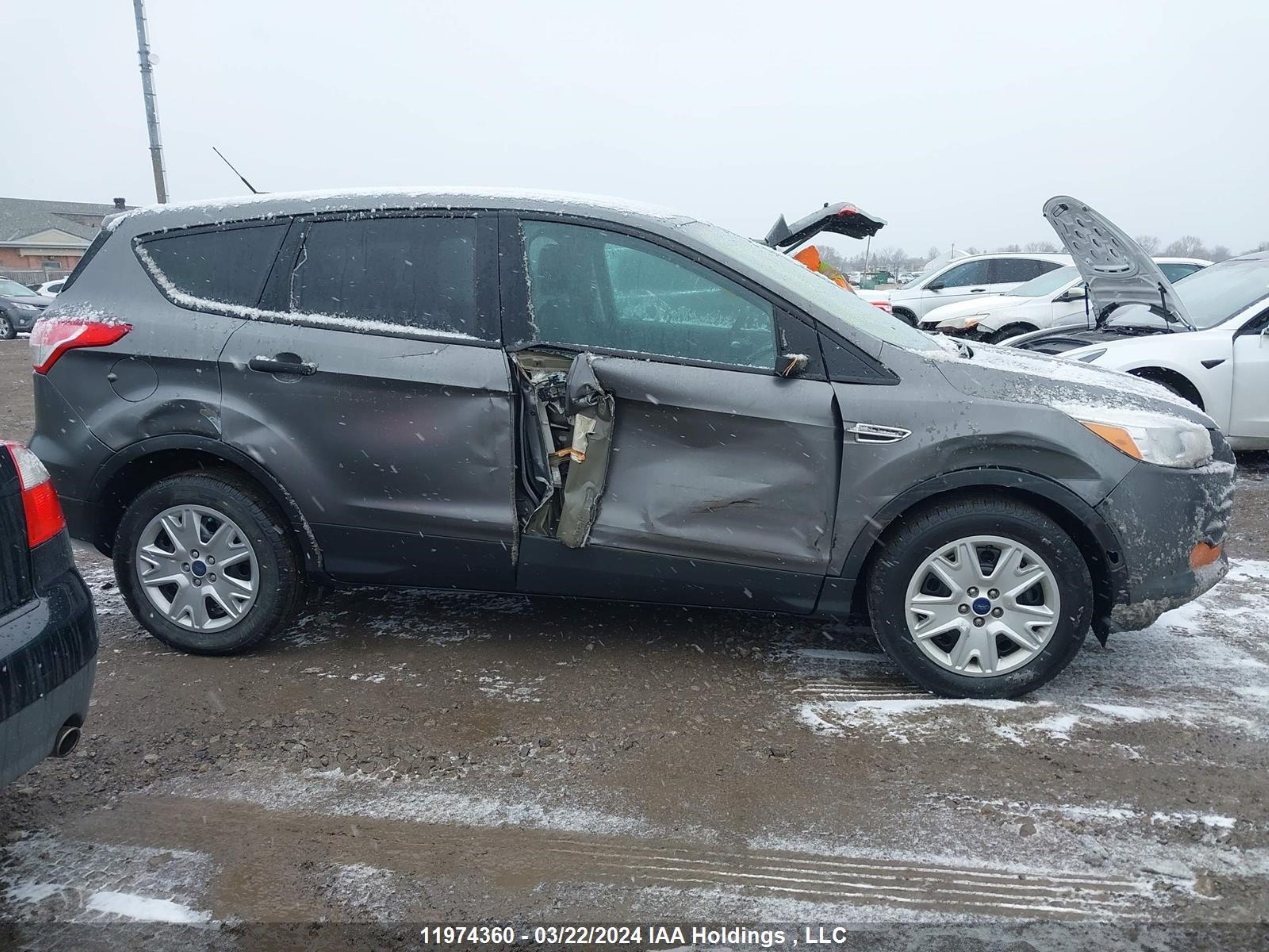 Photo 13 VIN: 1FMCU0F73EUC62256 - FORD ESCAPE 