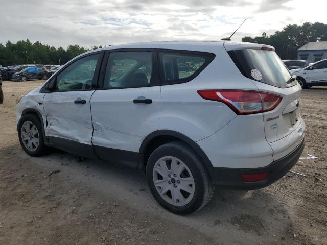 Photo 1 VIN: 1FMCU0F73EUC73175 - FORD ESCAPE 