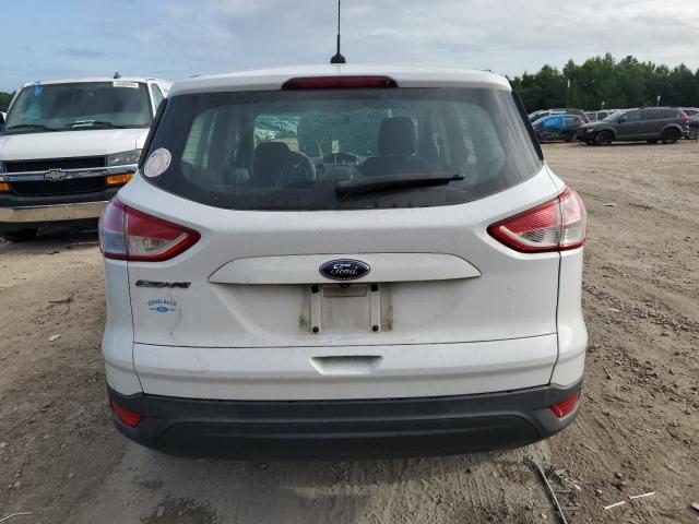 Photo 5 VIN: 1FMCU0F73EUC73175 - FORD ESCAPE 