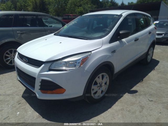 Photo 1 VIN: 1FMCU0F73EUD00794 - FORD ESCAPE 