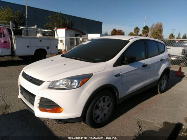 Photo 1 VIN: 1FMCU0F73EUD25386 - FORD ESCAPE 