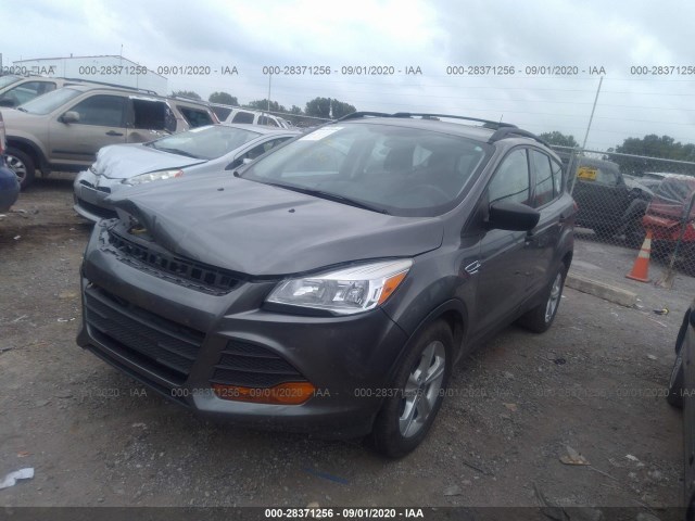 Photo 1 VIN: 1FMCU0F73EUE39534 - FORD ESCAPE 