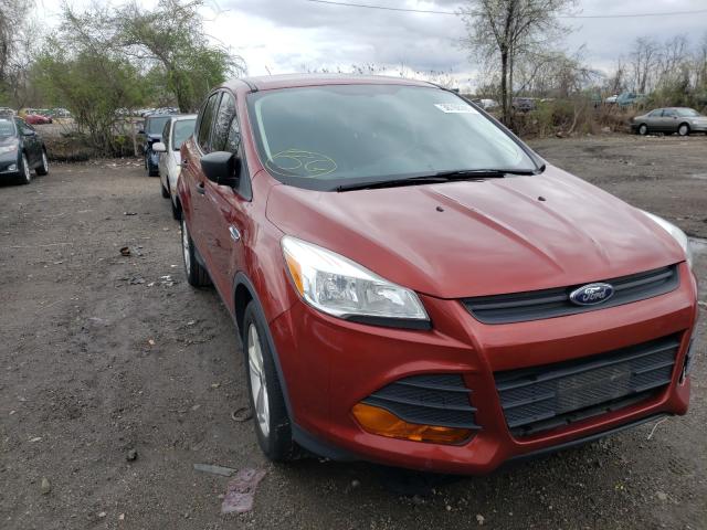 Photo 8 VIN: 1FMCU0F74EUE47755 - FORD ESCAPE S 