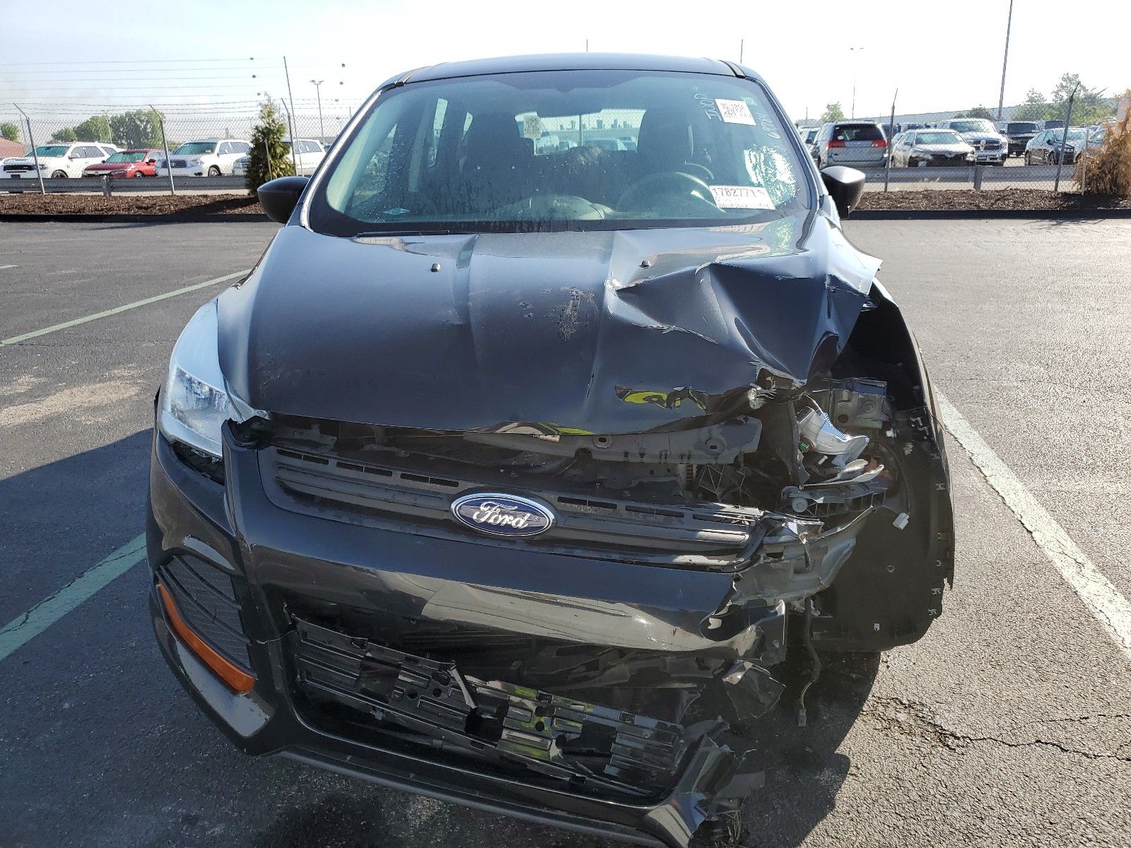 Photo 10 VIN: 1FMCU0F74EUE52485 - FORD ESCAPE FWD 4C 