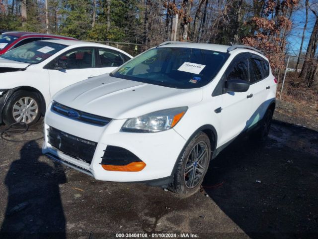 Photo 1 VIN: 1FMCU0F75EUA06894 - FORD ESCAPE 