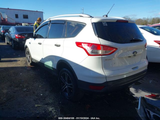 Photo 2 VIN: 1FMCU0F75EUA06894 - FORD ESCAPE 