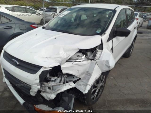 Photo 5 VIN: 1FMCU0F75EUA10847 - FORD ESCAPE 