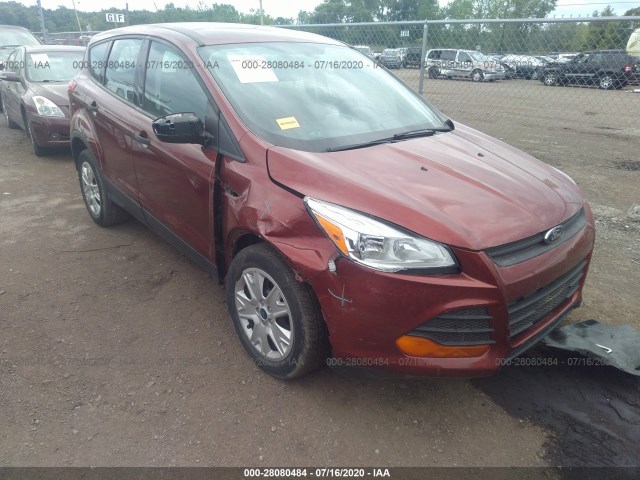 Photo 5 VIN: 1FMCU0F75EUA90876 - FORD ESCAPE 