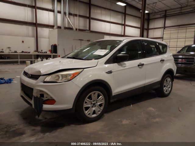 Photo 1 VIN: 1FMCU0F75EUB09233 - FORD ESCAPE 