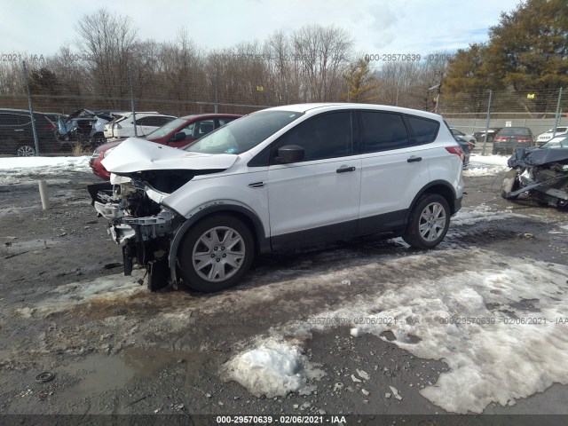 Photo 1 VIN: 1FMCU0F75EUB09622 - FORD ESCAPE 