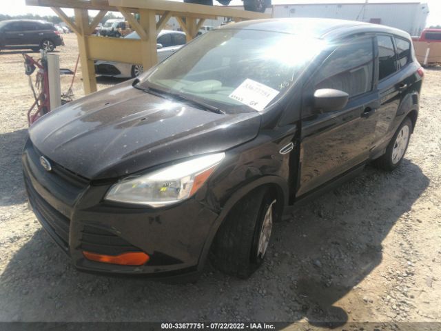 Photo 1 VIN: 1FMCU0F76DUA98032 - FORD ESCAPE 