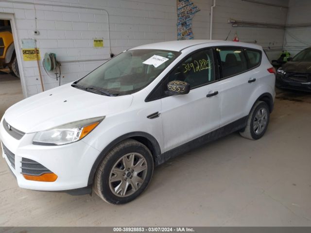 Photo 1 VIN: 1FMCU0F76DUD50068 - FORD ESCAPE 