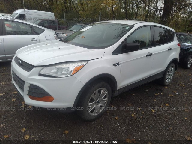 Photo 1 VIN: 1FMCU0F76DUD72359 - FORD ESCAPE 