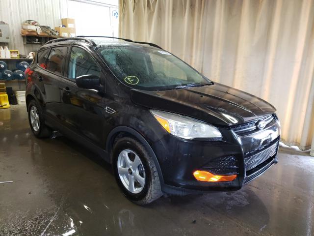 Photo 0 VIN: 1FMCU0F76EUA41010 - FORD ESCAPE 