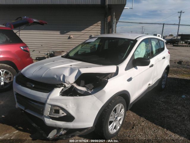 Photo 1 VIN: 1FMCU0F76EUD37872 - FORD ESCAPE 