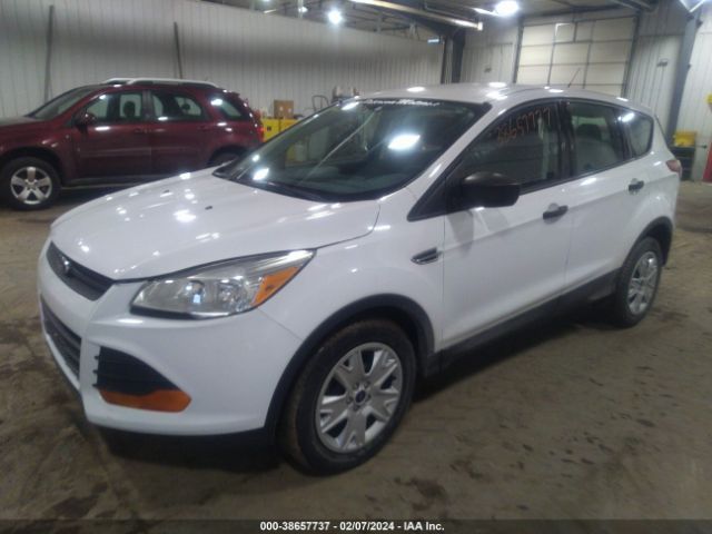 Photo 1 VIN: 1FMCU0F76EUD80334 - FORD ESCAPE 