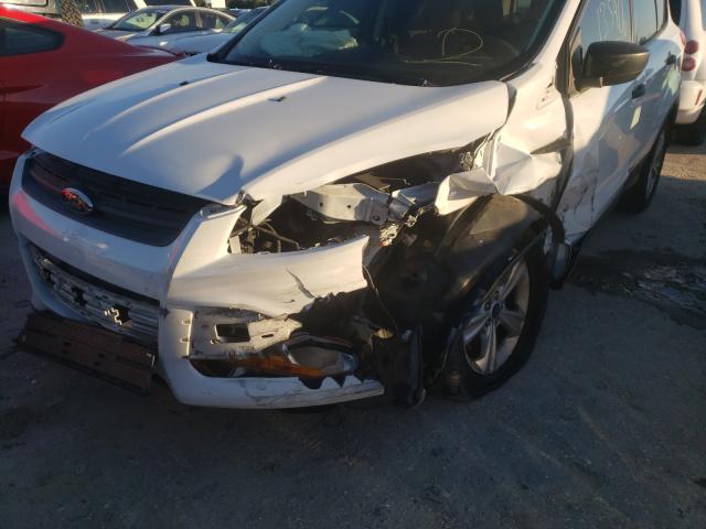 Photo 8 VIN: 1FMCU0F76EUE55405 - FORD ESCAPE S 