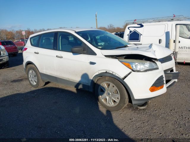 Photo 0 VIN: 1FMCU0F77DUB49988 - FORD ESCAPE 