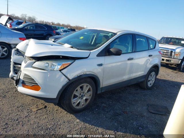 Photo 1 VIN: 1FMCU0F77DUB49988 - FORD ESCAPE 