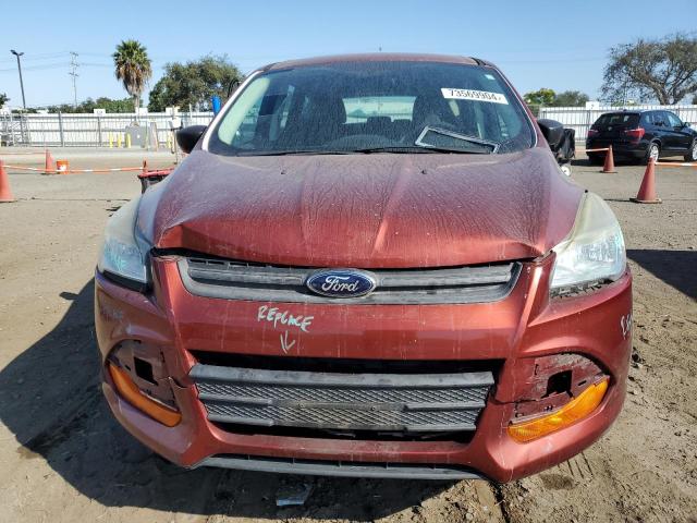 Photo 4 VIN: 1FMCU0F77EUD51313 - FORD ESCAPE S 