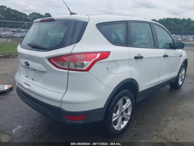 Photo 3 VIN: 1FMCU0F77EUE33445 - FORD ESCAPE 