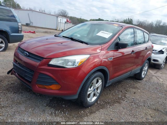 Photo 1 VIN: 1FMCU0F77EUE55199 - FORD ESCAPE 