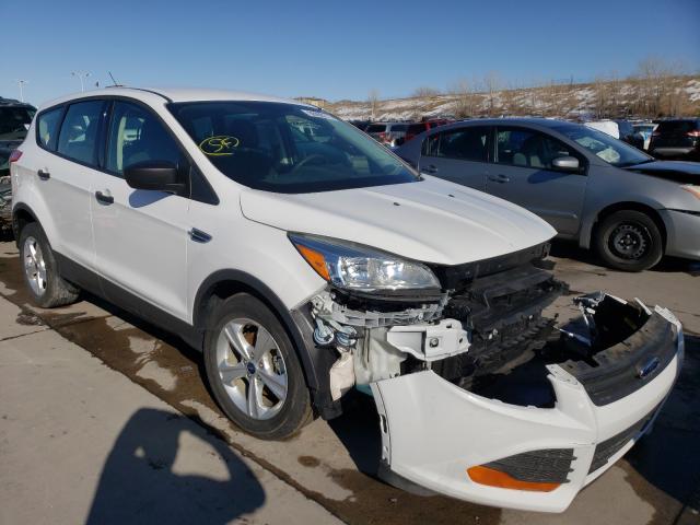 Photo 0 VIN: 1FMCU0F77EUE57096 - FORD ESCAPE 